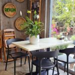 Spathiphyllum - Image 3