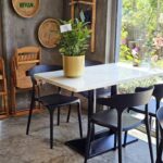 Croton Gold - Image 4