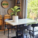 Diffenbachia - Image 3