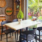 Lemon Cypress - Image 3