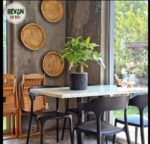 Pachira Aquatica - Image 3