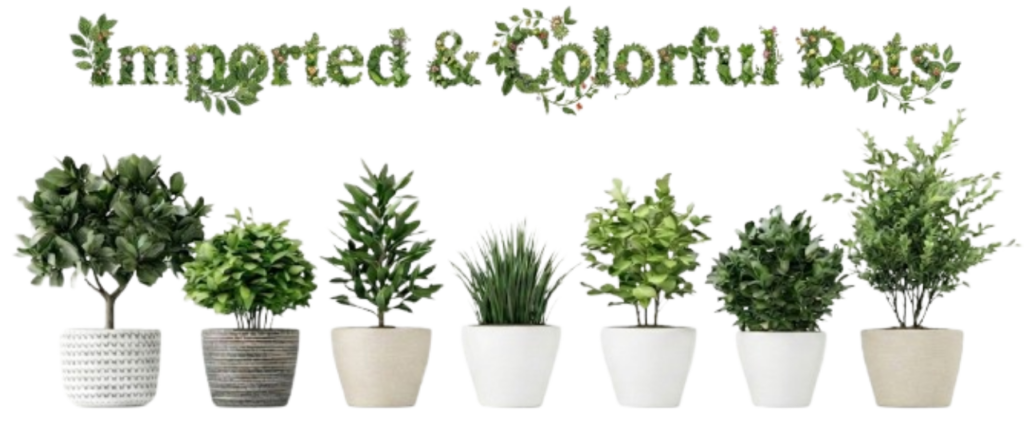 Imported & colorful pot in bahrain